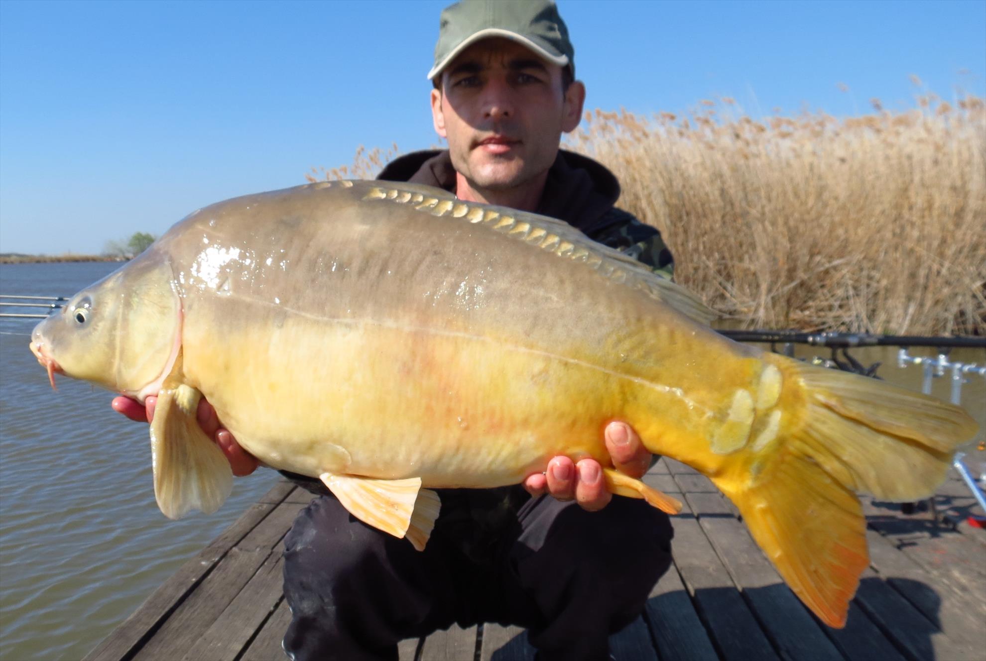 Ohat 3 27 - 30 mar. - 016a.jpg